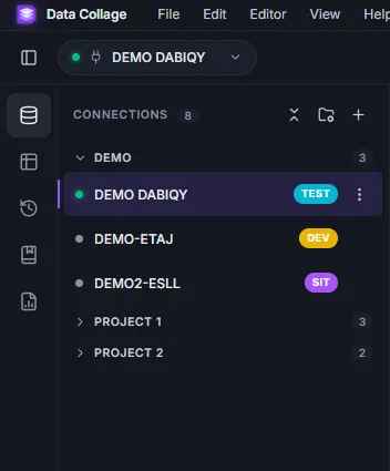 Connection manager with project groups and demo connections labeled TEST, DEV, and SIT.